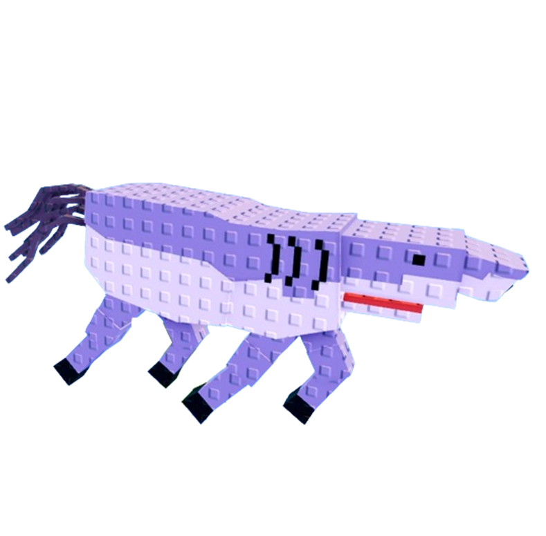 Squalo Cavallo image