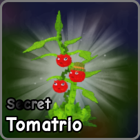 Tomatrio